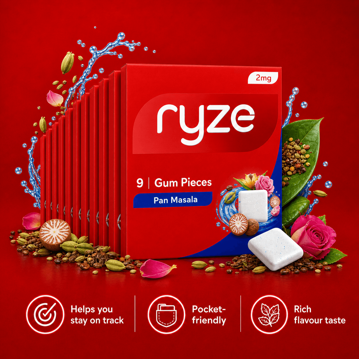 Ryze Gum - Paan flavour