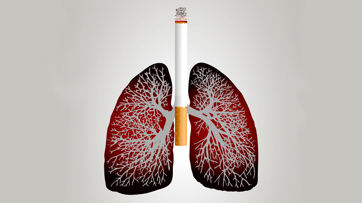 Tips for Supporting Lung Recovery After Quitting Smoking